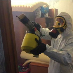 Уничтожение клопов в квартире. Алзамай